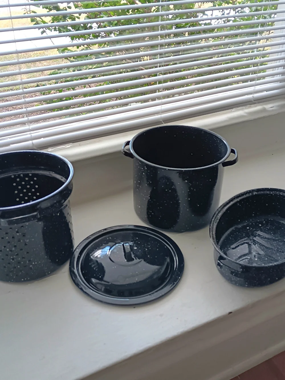 Enamel Speckled Black Stockpot and Roasting Pan Set - Black